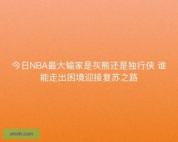 今日NBA最大输家是灰熊还是独行侠 谁能走出困境迎接复苏之路