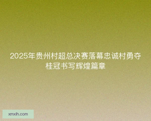2025年贵州村超总决赛落幕忠诚村勇夺桂冠书写辉煌篇章