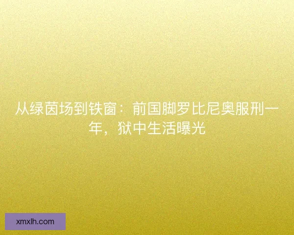 从绿茵场到铁窗：前国脚罗比尼奥服刑一年，狱中生活曝光